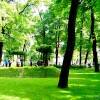 The Imperial Gardens of Russia VI  – photo 44