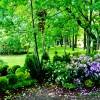 The Imperial Gardens of Russia VI  – photo 15