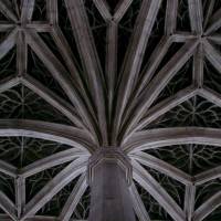 Звездчатые своды с колоннами образую потолок (фото 2)