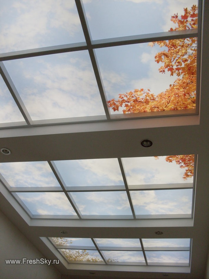 Потолок имитирующий окно с подсветкой