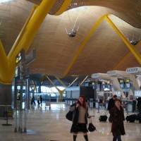 Потолок международного аэропорта Барахас в Мадриде — фото 6