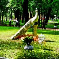 Императорские сады России VI — фото 51