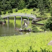 Сад в японском стиле в Кагосиме — фото 3