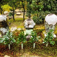 Сад храма Гинкаку-дзи — фото 5