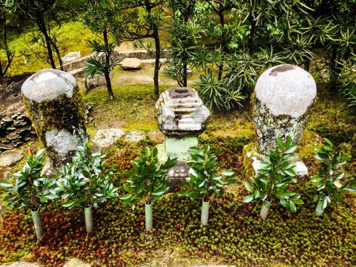 Сад храма Гинкаку-дзи — фото 5