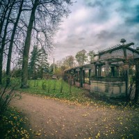 Собственный садик Екатерининского парка — пергола — фото 1