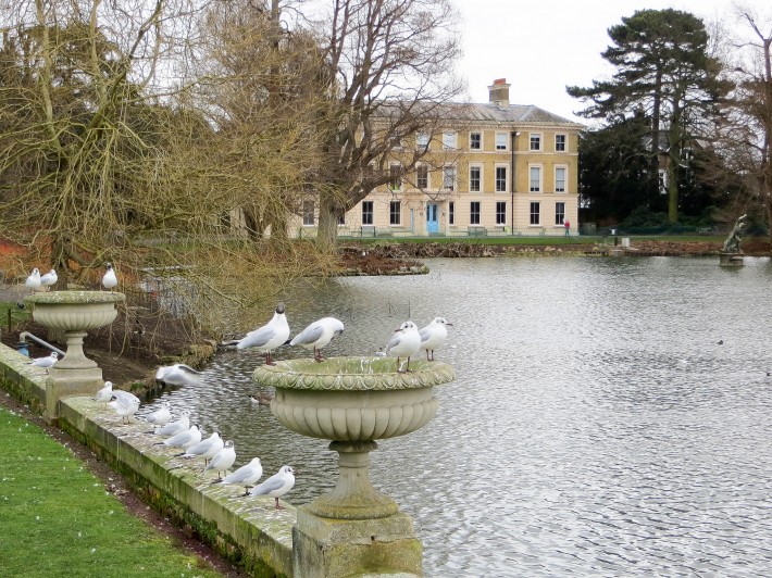 Английский сад дворца Кью — фото 2