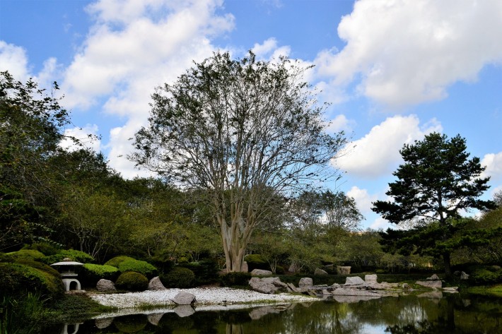 Японский сад в Парке Хермана — фото 1