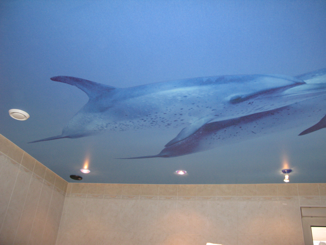 Натяжной потолок с дельфином от компании Строй Сервис