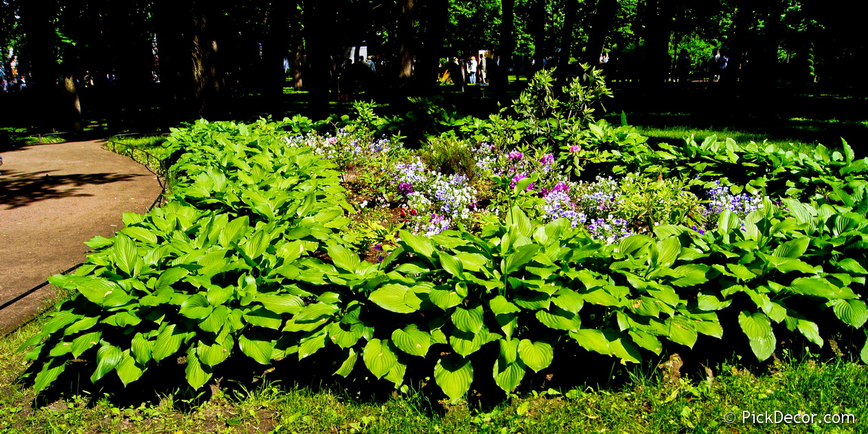 The Imperial Gardens of Russia VI  – photo 109