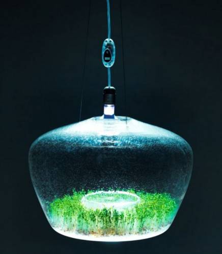 Лампа Green House от Kristýna Pojerová