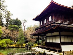 Сад храма Гинкаку-дзи — фото 6