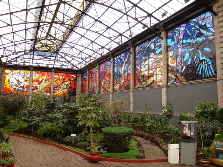 Ботанический сад Космовитрал